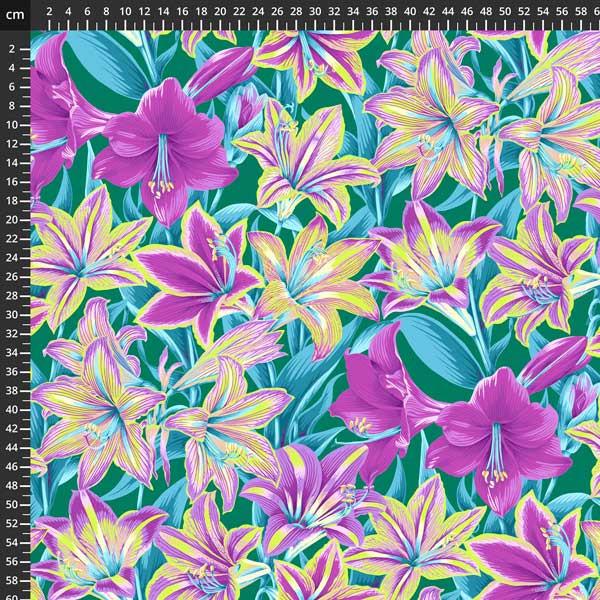 Kaffe Fassett 8200-772