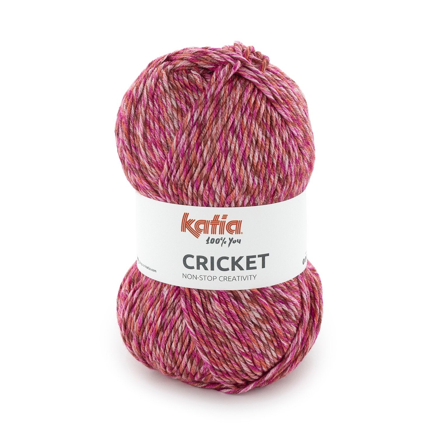 Cricket by Katia
