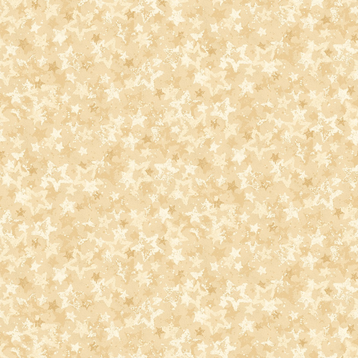 Star of Wonder by Nancy Halvorsen