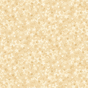 Star of Wonder by Nancy Halvorsen