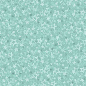 Star of Wonder by Nancy Halvorsen