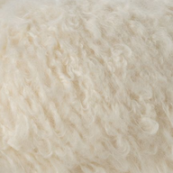 Plume by Laines du nord