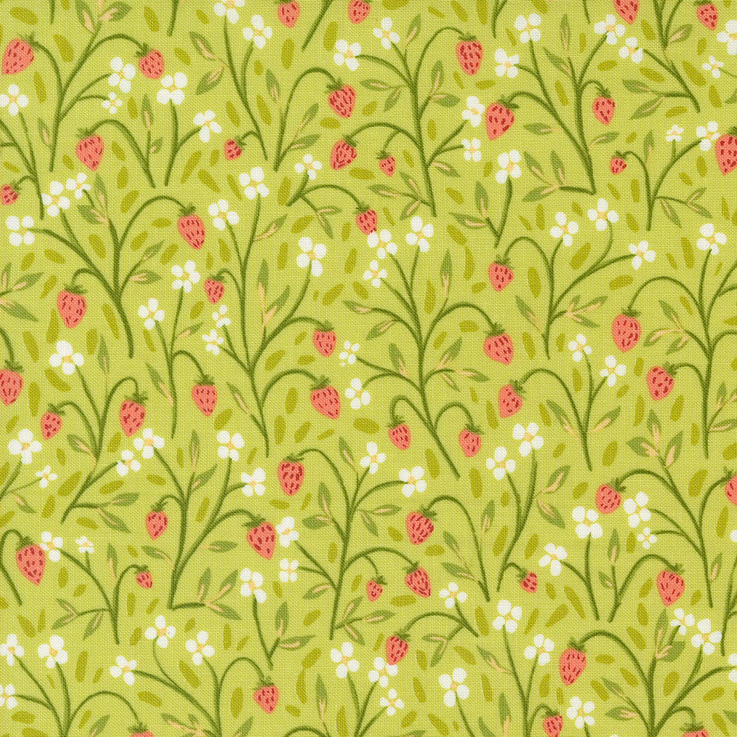 Kindred by Moda Fabrics - Cucireonline