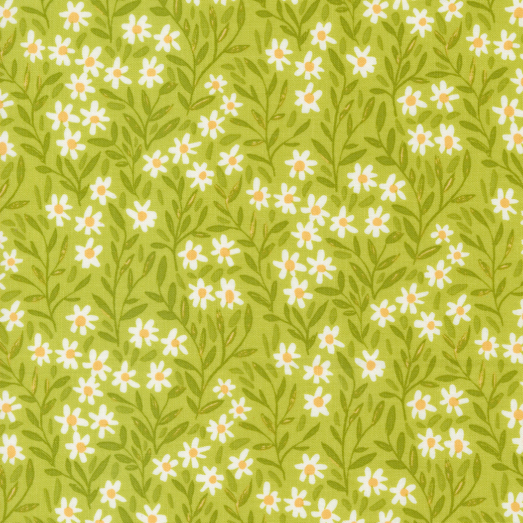 Kindred by Moda Fabrics - Cucireonline