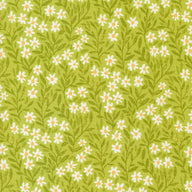 Kindred by Moda Fabrics - Cucireonline