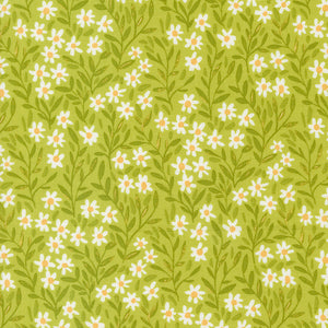 Kindred by Moda Fabrics