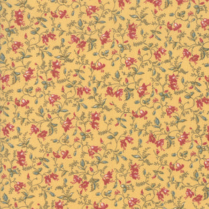 Sarah's Story by Betsy Chutchian for ModaFabrics