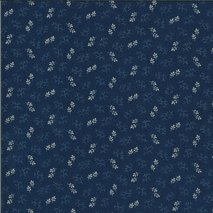 Elinores Endeavor by Betsy Chutchian for Modafabrics