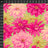 Martha Negley - Garden 7001-670 - Cucireonline