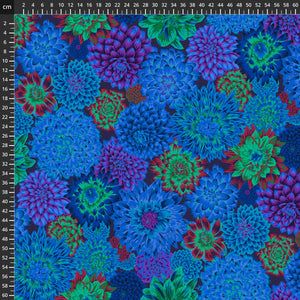 Kaffe Fassett 8200-056