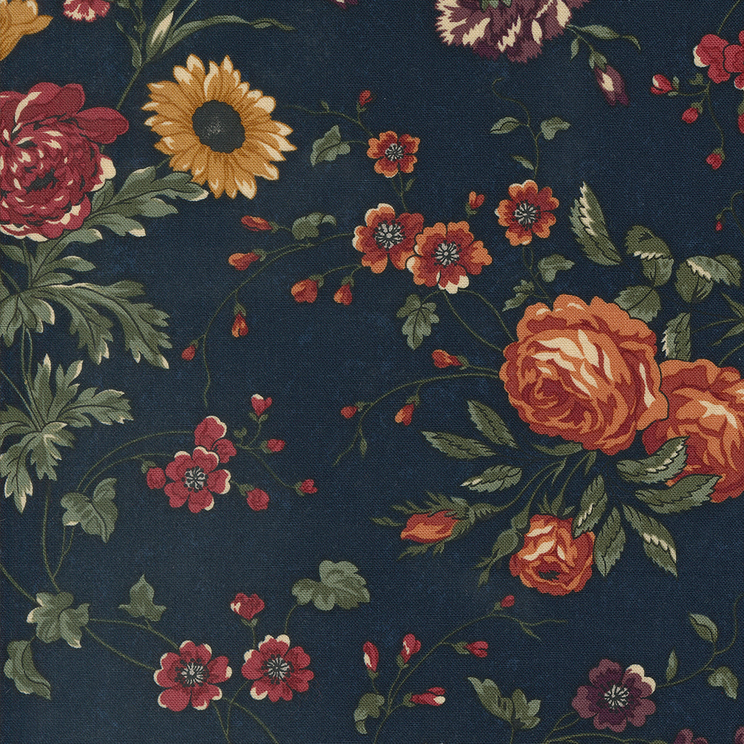 Daisy Lane by Kansas Troubles