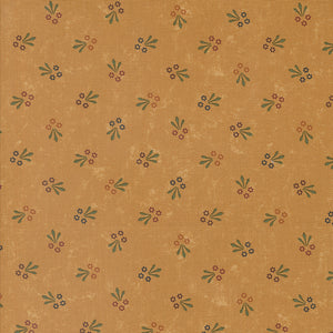 Daisy Lane by Kansas Troubles