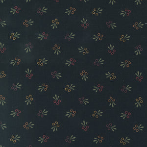 Daisy Lane by Kansas Troubles