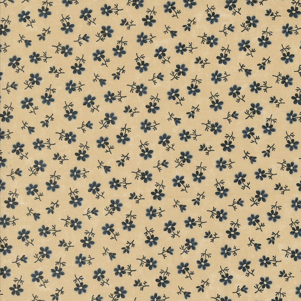 Daisy Lane by Kansas Troubles