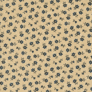 Daisy Lane by Kansas Troubles
