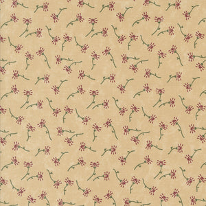 Daisy Lane by Kansas Troubles