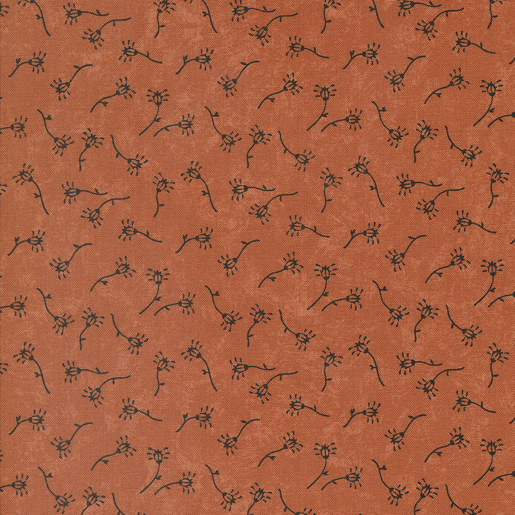 Daisy Lane by Kansas Troubles
