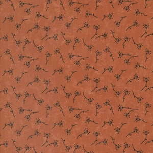 Daisy Lane by Kansas Troubles