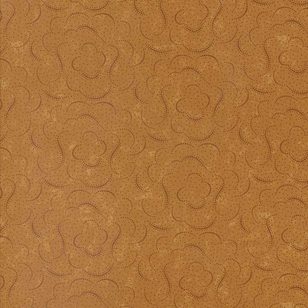 Daisy Lane by Kansas Troubles