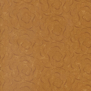 Daisy Lane by Kansas Troubles
