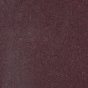 Daisy Lane by Kansas Troubles