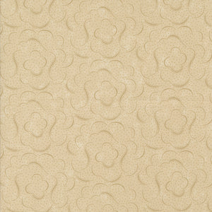 Daisy Lane by Kansas Troubles