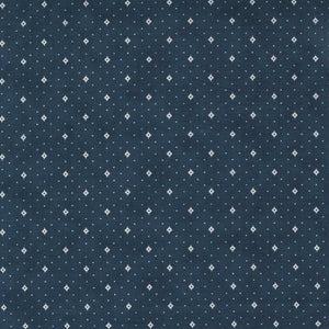 Starlight Gatherings by Modafabrics