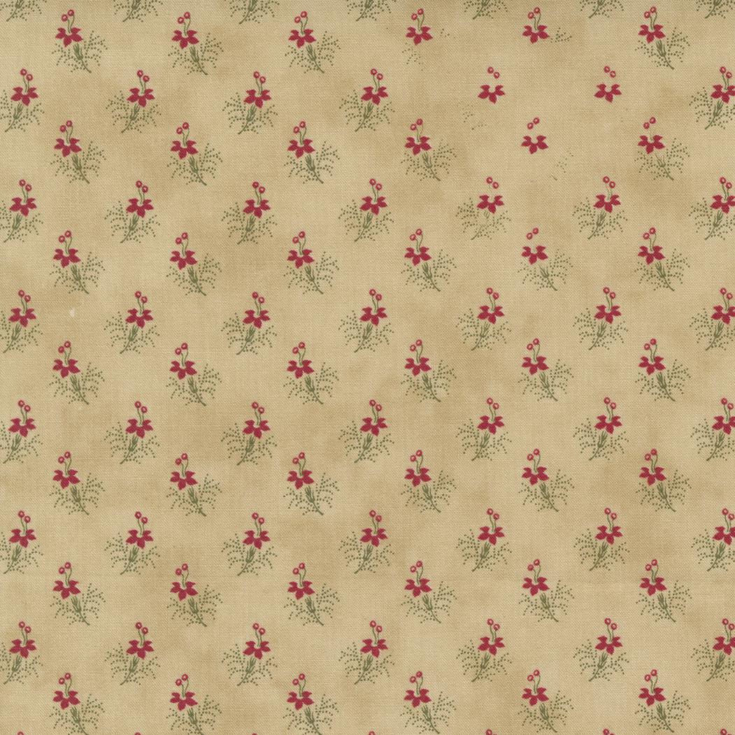 Poinsettia Plaza by 3 Sisters