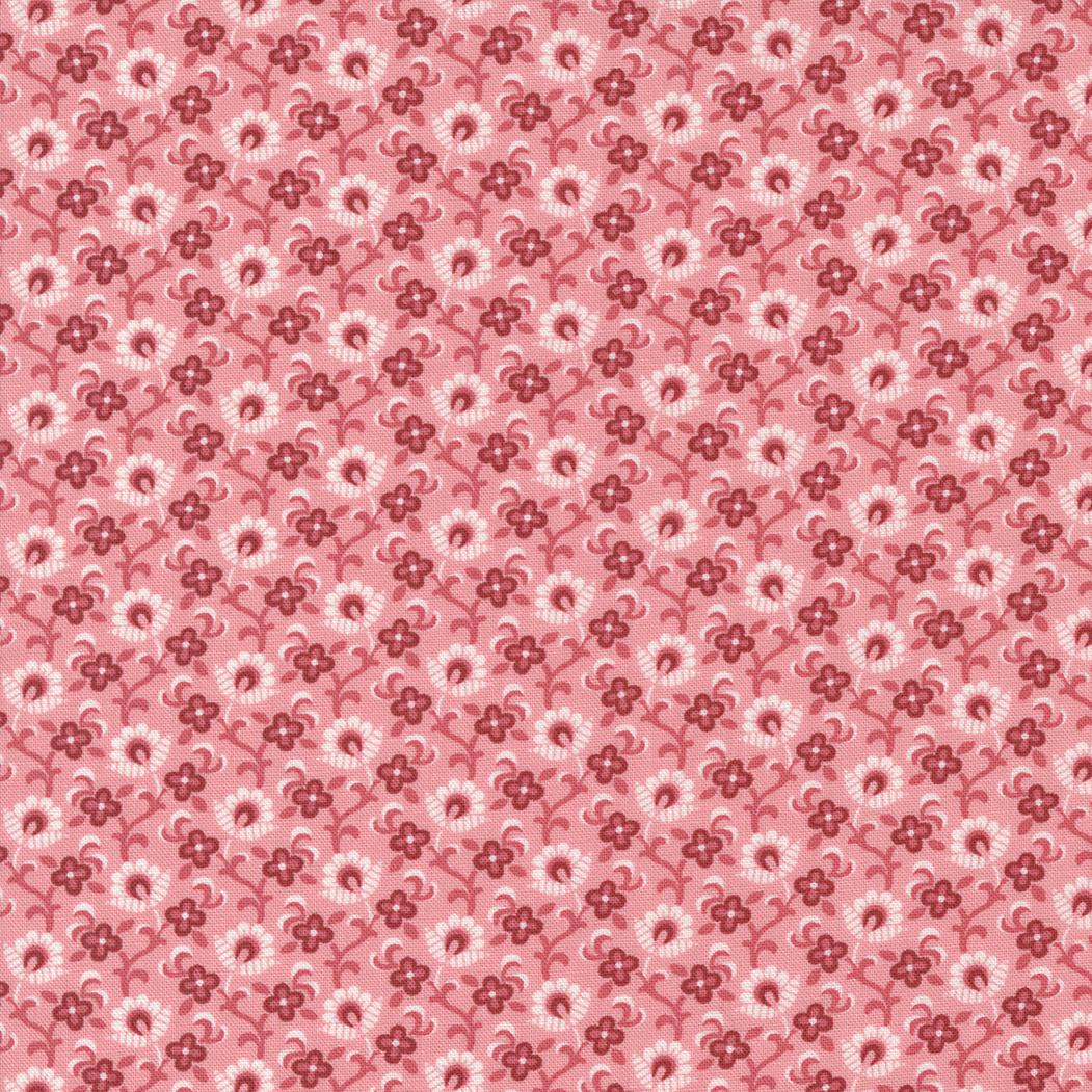 The Flower Farm by Bunny Hill