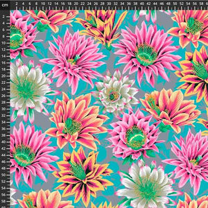 Kaffe Fassett 8200-575