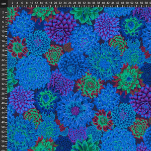 Kaffe Fassett 8200-056
