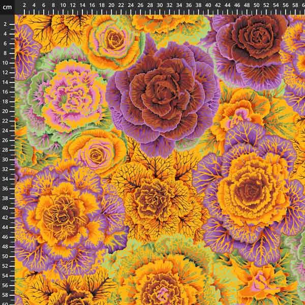 Kaffe Fassett 8200-426