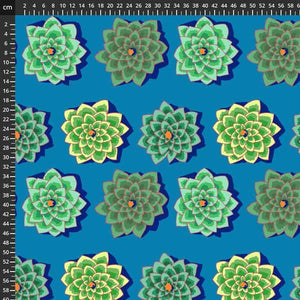 Kaffe Fassett 8200-748