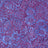 Chroma Batiks by Modafabrics - Cucireonline