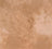 Quilters Shadow 104 by Stof - Cucireonline