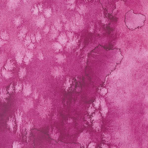 Coming Up Roses by Moda Fabrics