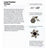 Matilda's " Pinwheel Exagon" - Cucireonline