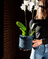Natural Bag by Laines du Nord