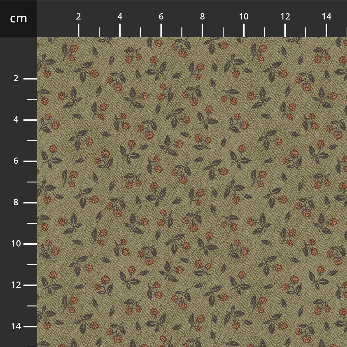 Flossie\'s Flower - Janet Nesbit